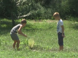 Како и где деци на распусту жабе и шкољке могу да замене телефоне и таблете 