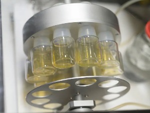 Без јајне ћелије, сперме и материце – први пут у историји узгојени синтетички ембриони