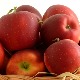 Српска јабука озбиљан "играч" на светском тржишту, произвођачи очекују добар род