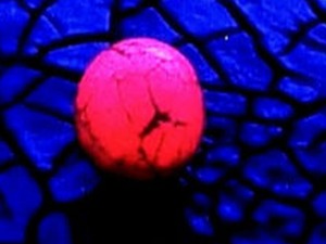 Приче о фотографији: Цртежи сунца