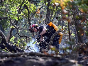 Пожар на Вршачком брегу угашен, у току догашивање