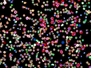 Научници успели да направе прву комплетну мапу имуног система човека