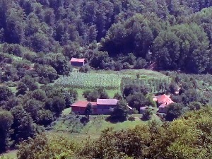 По махалама разбацано 20 кућа - обнова макадамског пута спас за мештане Равног Дела