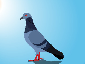  Добро јутро децо: Како успешно не уловити голуба 