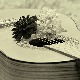 Топ-листа класичне музике