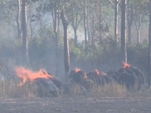 Локализован пожар у близини Рафинерије нафте у Новом Саду 