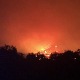 Ugašen veliki požar u Zelenom pojasu Bara