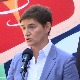 Брнабић: Држава не може да гарантује цену сунцокрета, али можемо да разговарамо о маржи