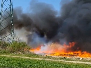 Kинеској трсци поплава и пожар не могу ништа – да ли може да замени традиционални начин грејања 