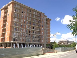 Нема градње без садње – могу ли градови указом да постану зеленији