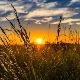 Сунчано у већем делу земље, понегде могући пљускови са грмљавином