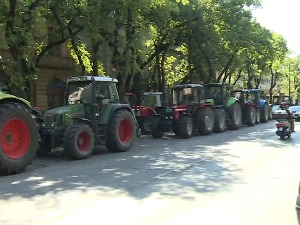 Суботички ратари у центру града, траже да се процени штета од суше