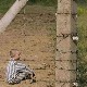 Дечак у пругастој пиџами