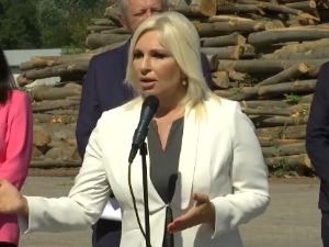 Михајловић: Направити регистар педофила и насилника, забранити им запошљавање у државним установама