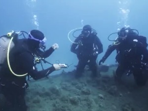 Низак водостај и пешчане аде маме купаче, који су најтежи задаци ронилаца Жандармерије