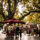 Колики је раст броја туриста у бањама који користе ваучере