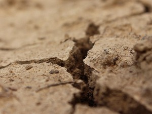 Jедна од најгорих суша у последњих 500 година у Европи, нивои Дунава и Саве месецима на минимуму