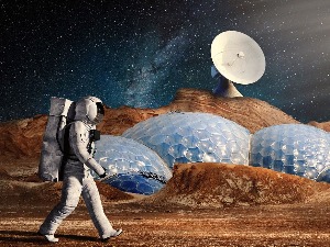 Која би биљка могла да нас прехрани на Марсу