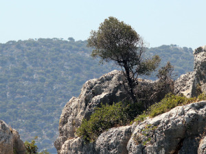 Откривен 2.350 година стар кип Кибеле – богиње заштитнице природе
