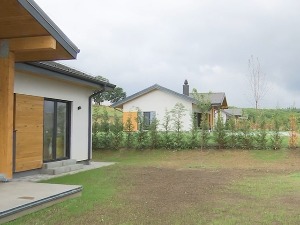 Куће из америчких филмова граде се и у Београду, колико коштају