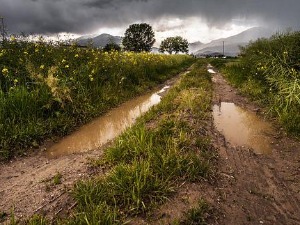 Може ли киша да спасe усеве и повећа ниво река, објашњава хидрометеоролог Владиковић