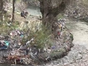 "Севап" - за чистију реку Рашку 