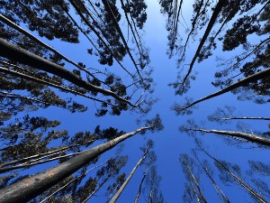 Небо над Аустралијом мало је другачије – пожари су оставили траг