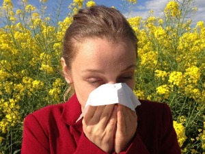 Зашто алергичној особи на полен и јабука може да направи проблем – шта су укрштене алергије