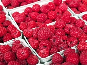 Зашто је извоз српског црвеног злата у застоју