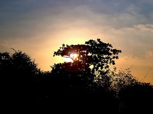 Ритам раног јутра