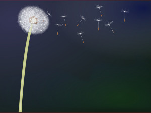  Добро јутро децо: Чешаљ за маслачке 