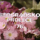Тихо ноћи - Београдско пролеће 1976. 
