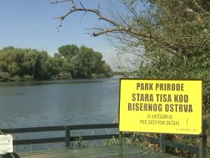 Бисерно острво Тисе, туристичка оаза и дом јединствене врсте грожђа у Европи