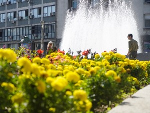 Летњи дан, температура до 32 степена