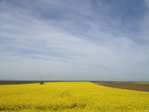 Фолдер Србија: Преци човека из Сићевачке клисуре 
