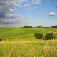 Облачно, ветровито и још топлије, увече краткотрајни пљускови
