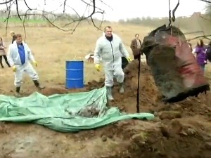 Цвета еколошки криминал, полиција за неколико месеци поднела 300 пријава