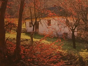 Изложба фотографија Станка Костића – „Народни неимари Србије - руком, по мери“ у Галерији САНУ