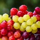 Slatko je grožđe, ali izuzetno korisno čak i za dijabetičare