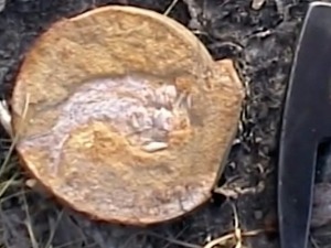 Како је фосил изумрле рибе направио тектонске промене у науци