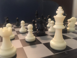 Век Новосадског шах клуба