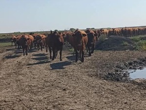  Знање имање- 17.10.2021.