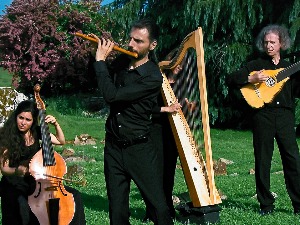  Игре и песме из Ирске