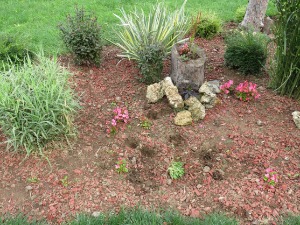 Крагујевац, украденe саднице са цветних површина у Великом парку