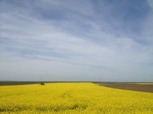 	Фолдер Србија: Најстарији православни храм 