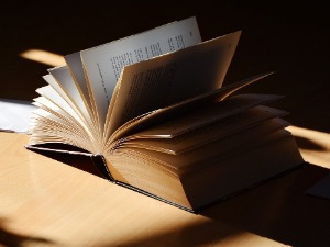 Дипеш Чакрабарти: Разум и критика историцизма