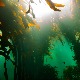 Amazonija pod vodom – okeanske šume algi
