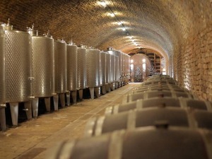 Сасвим природно-Винске куће 2.део