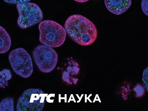 Игре које су срушиле царства:  Стари Грци