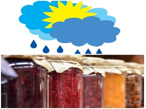 Јесењи музички маратон 202: Прогнозе; Најбоље песме за спремање зимнице